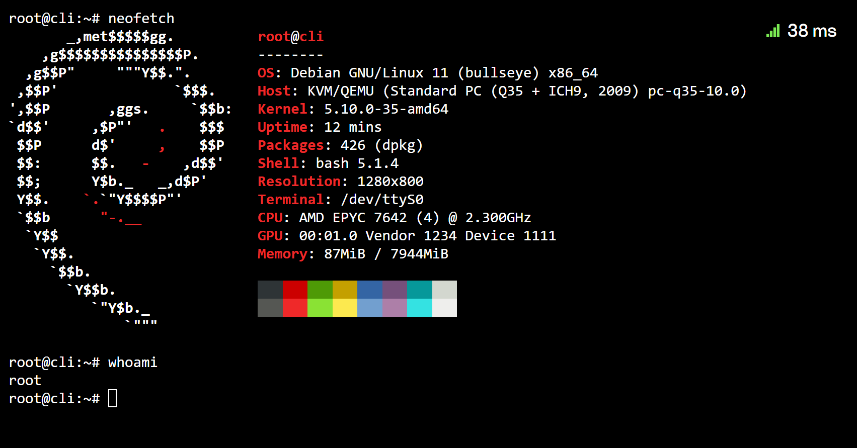 Darmowy serwer Debian 11 Linux — terminal root z neofetch na sprzęcie AMD EPYC